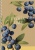 Spirálfüzet, A5, sima, 96 lap, SHKOLYARYK "We Grow", vegyes
